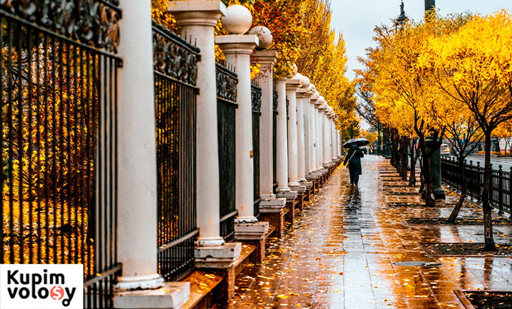 Продайте волосы в Омске — Дорого!