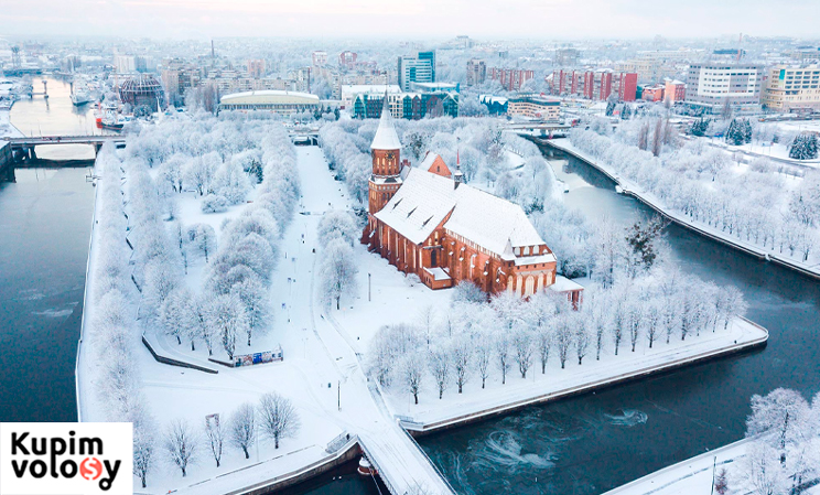 Как продать волосы в Калининграде в 2025 году ДОРОГО?